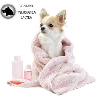 PELUQUERIA CANINA ccam99 toalla