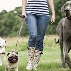 Sociabilidad canina CCAM99