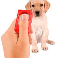 CLICKER ccam99 adiestramiento canino habilidades ccam99