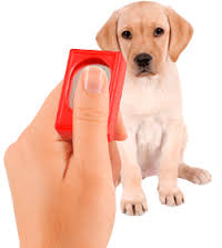 CLICKER ccam99 adiestramiento canino habilidades ccam99