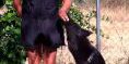 LURING_ccam99 Luring. CCAM99