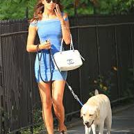 adiestramiento canino en residencia CCAM99