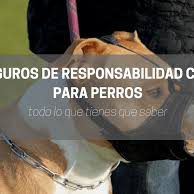 Seguros para perros ccam99