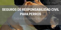 Seguros para perros ccam99