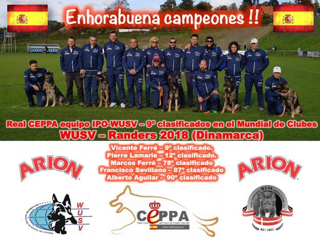 WUSV 2019 CCAM99 WUSV 2019 CCAM99