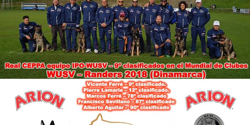 WUSV 2019 CCAM99