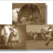 adiestramiento ipo ccam99 adiestramiento ipo ccam99