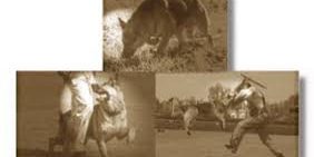 adiestramiento ipo ccam99