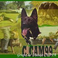 ADIESTRAMIENTO CANINO-ccam99-grupo ipo