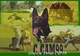 ccam99-grupo ipo ADIESTRAMIENTO CANINO-ccam99-grupo ipo