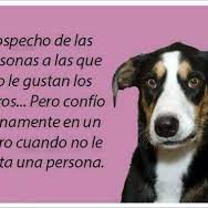 frases sobre perros ccam99