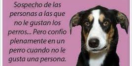 frases sobre perros ccam99 frases sobre perros ccam99