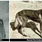 pastor-aleman-horand-vstephanitz pastor-aleman-horand-vstephanitz ccam99