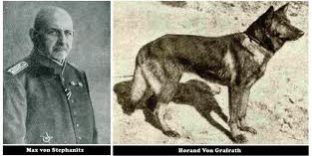 pastor-aleman-horand-vstephanitz ccam99