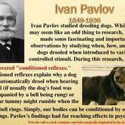 pavlov Adiestramiento Canino PAVLOV CCAM99