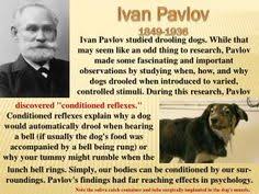 Adiestramiento Canino PAVLOV CCAM99