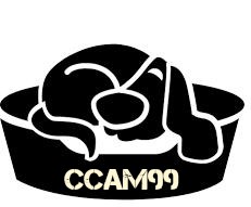 perro-cama-ccam99