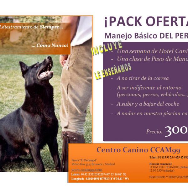 Adiestramiento de perros-Oferta CCAM99