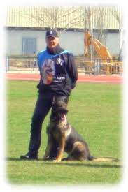 Adiestramiento canino IPO en Madrid CCAM99 - Arsenio y Zorro