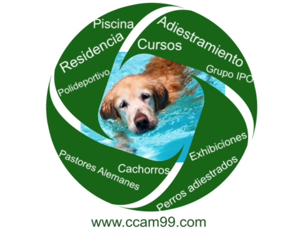 Residencia Canina Madrid CCAM99