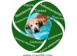 Residencia Canina Madrid CCAM99