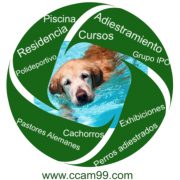 Residencia Canina Madrid CCAM99