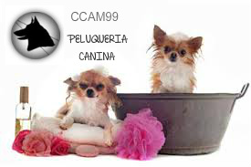 Peluquería para perros y SPA ccam99