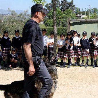 exhibiciones-caninas-sekccam99 EXHIBICIÓN DE ADIESTRAMIENTO DE PERROS CCAM99-SEK