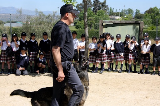 EXHIBICIÓN DE ADIESTRAMIENTO DE PERROS CCAM99-SEK