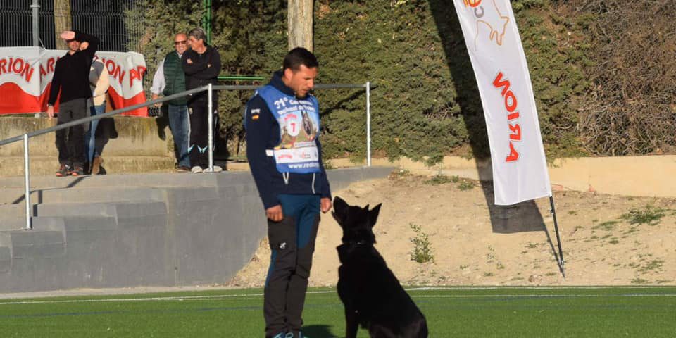 Alejandro CNT CEPPA 2019-CCAM99 CNT CEPPA 2019 CCAM99