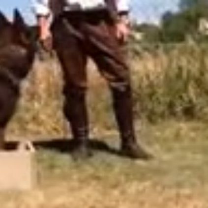 LAS DOS CAJAS Adiestramiento CCAM99 Las dos Cajas. Adiestramiento CCAM99