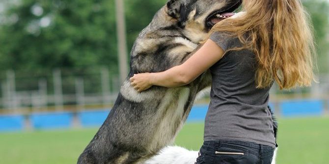 conductas-llave-adiestramiento-canino-ccam99