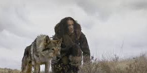 La domesticación del lobo